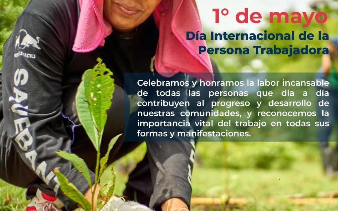 Día Internacional de las Personas Trabajadoras